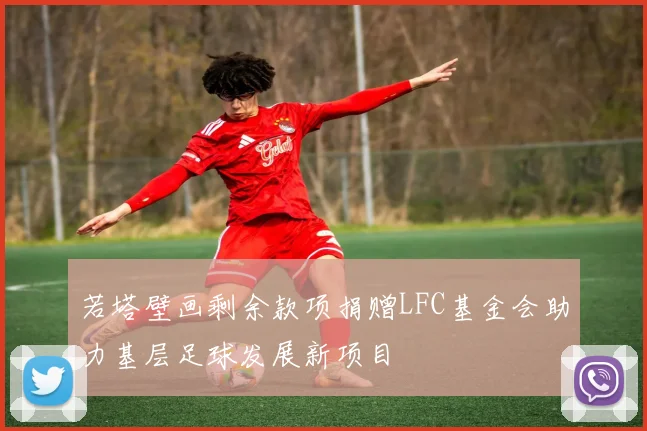 若塔壁画剩余款项捐赠LFC基金会助力基层足球发展新项目