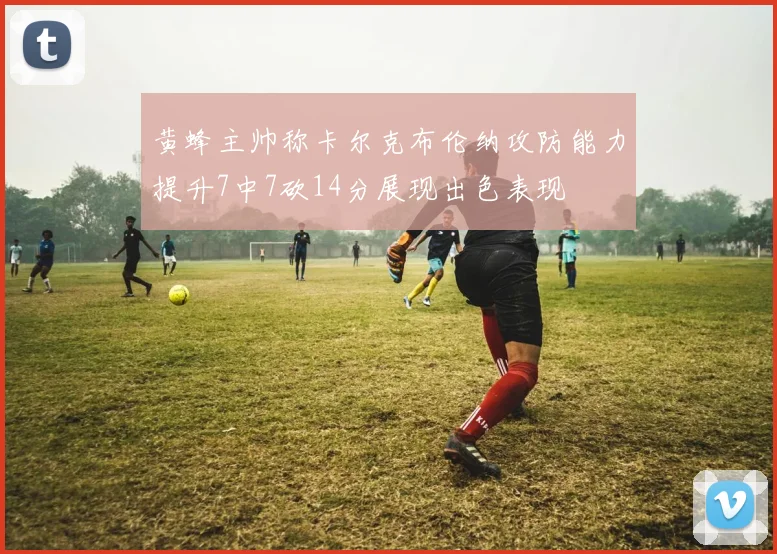 黄蜂主帅称卡尔克布伦纳攻防能力提升7中7砍14分展现出色表现