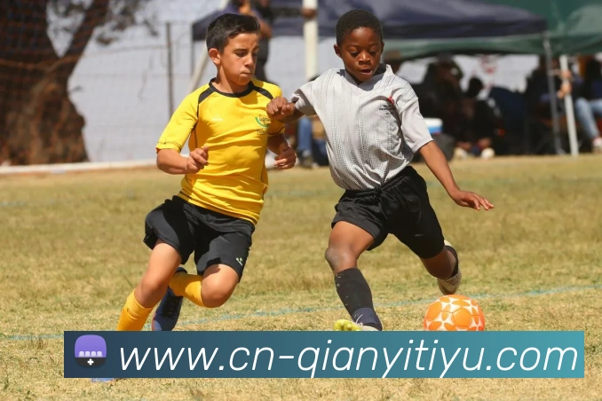 千亿体育平台生态图