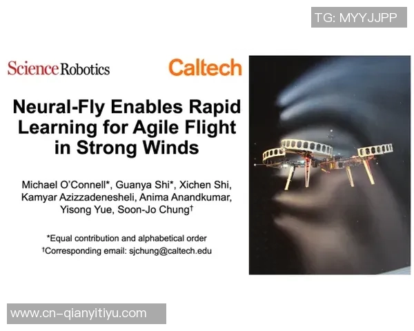 科塔谈首发经历：意外之喜与适应过程中的学习心得